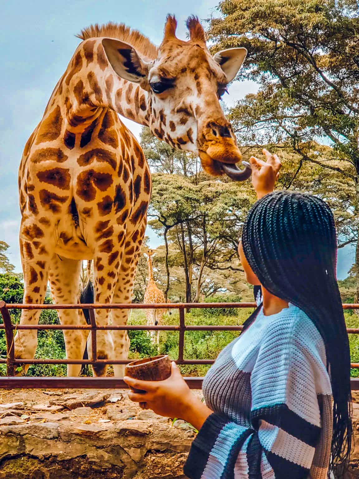 Giraffe Centre
