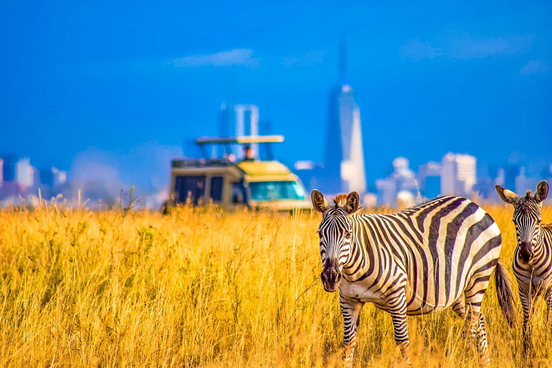 Nairobi National Park