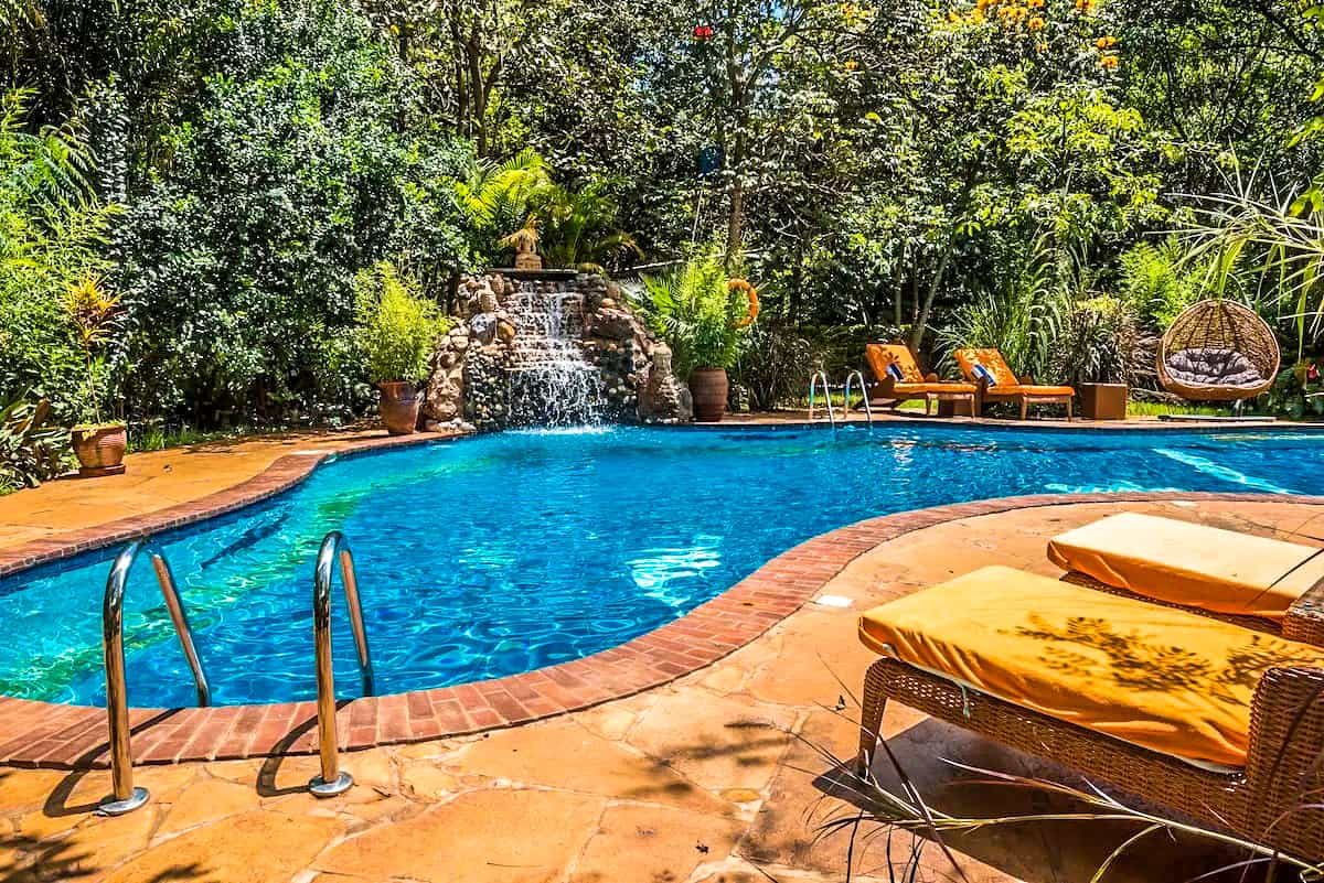 Jungle Oasis