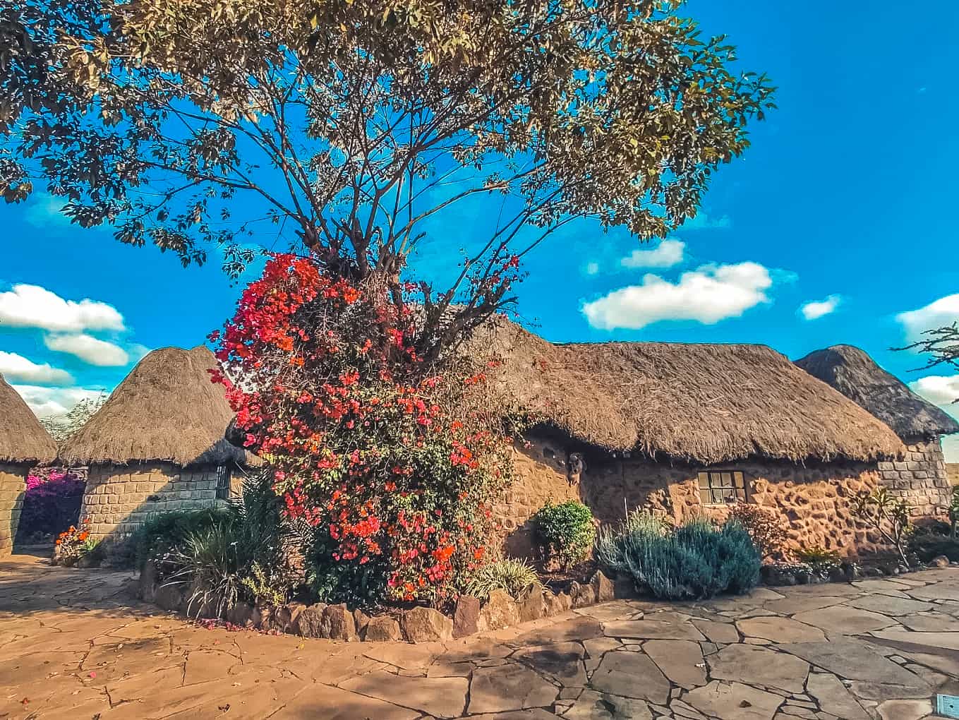 Nyati Hill Cottages